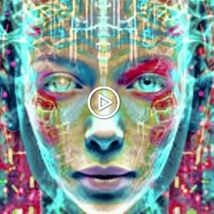 Meet your Posher, Teal rochelle